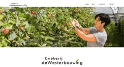 Desktop Screenshot of kwekerijdewesterbouwing.nl
