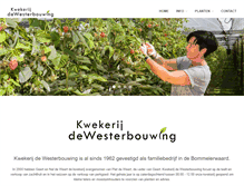 Tablet Screenshot of kwekerijdewesterbouwing.nl